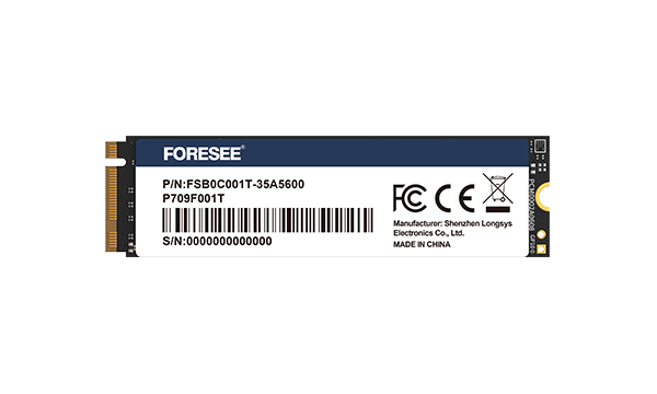 P709 PCIe SSD