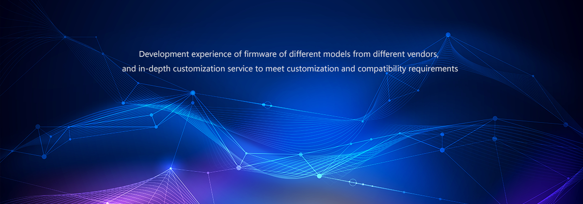 Leading firmware development team to provide in-house firmware programs and hardware
          