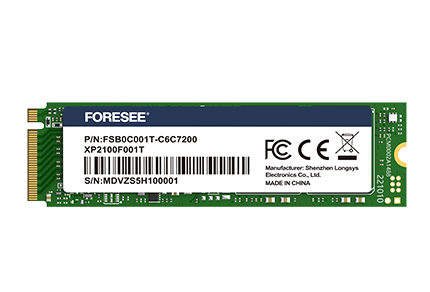 XP2100 PCIe SSD